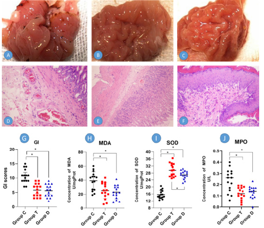 biomedres-openaccess-journal-bjstr