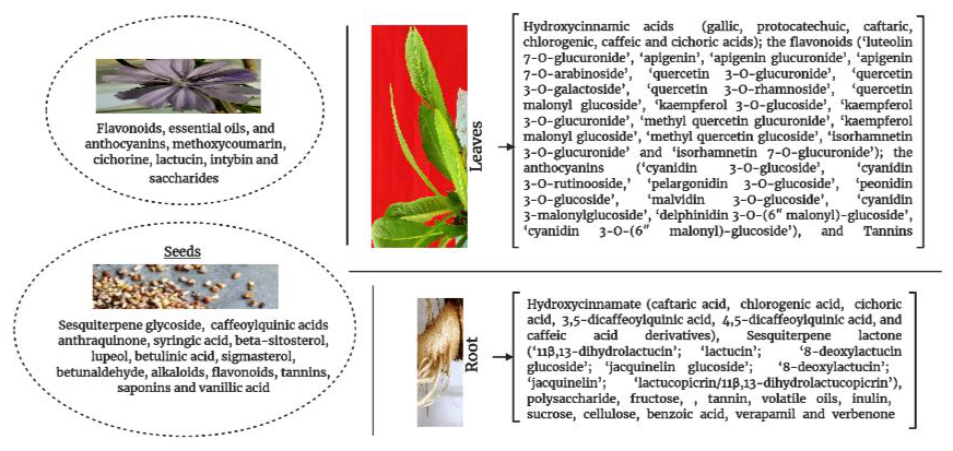 biomedres-openaccess-journal-bjstr