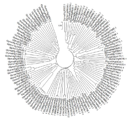 biomedres-openaccess-journal-bjstr