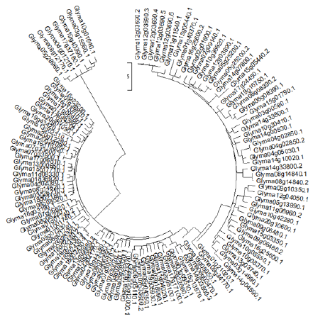 biomedres-openaccess-journal-bjstr