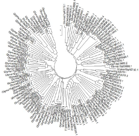 biomedres-openaccess-journal-bjstr