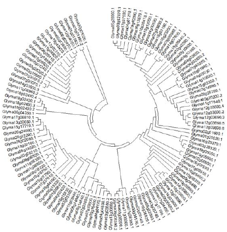 biomedres-openaccess-journal-bjstr