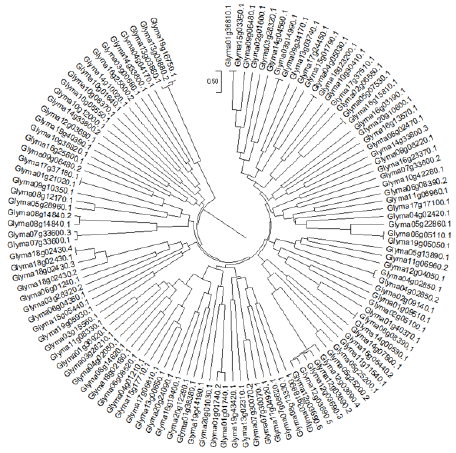 biomedres-openaccess-journal-bjstr
