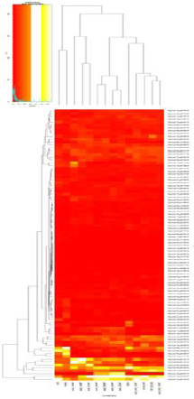 biomedres-openaccess-journal-bjstr