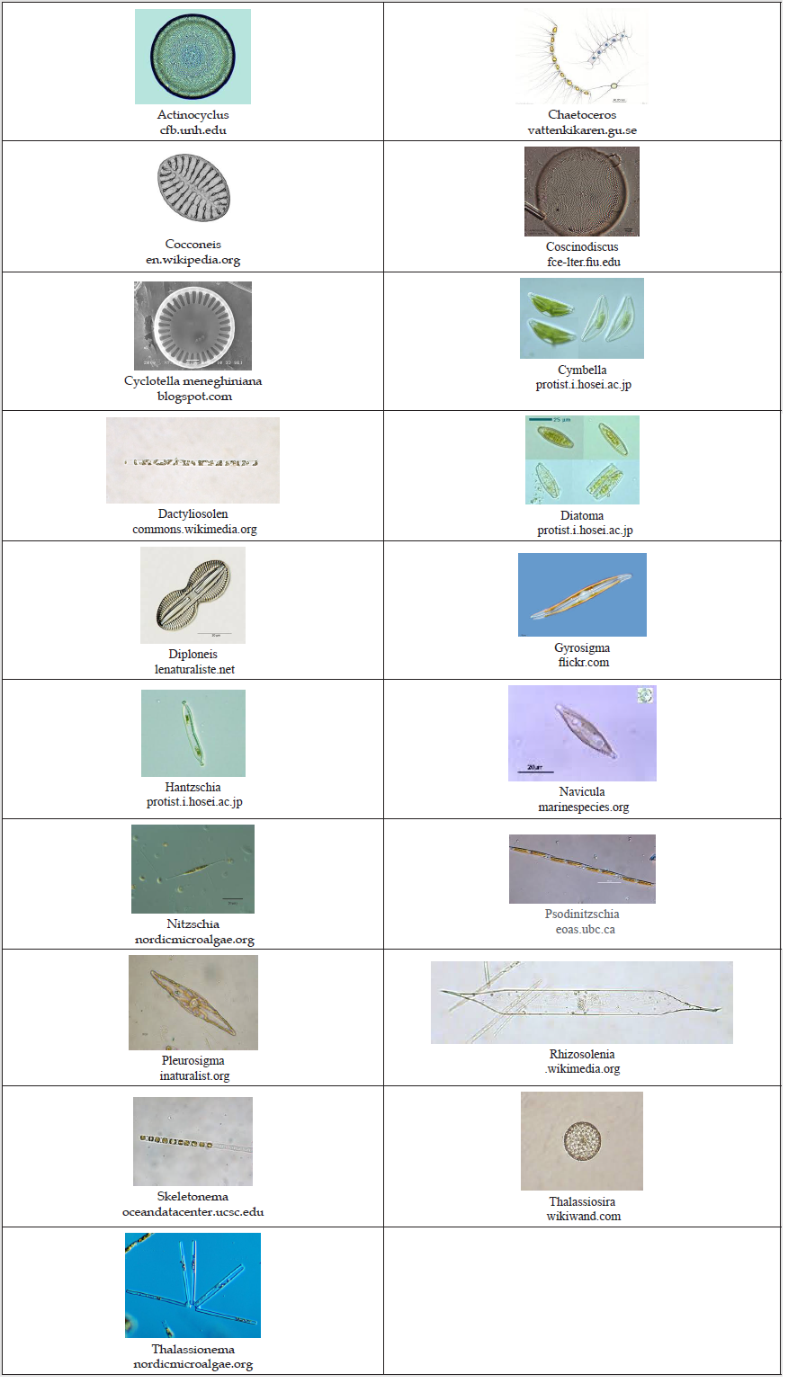 biomedres-openaccess-journal-bjstr
