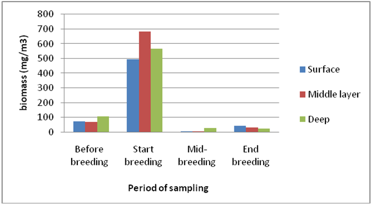 biomedres-openaccess-journal-bjstr