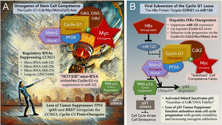 biomedres-openaccess-journal-bjstr
