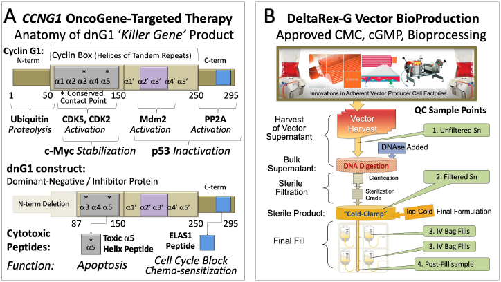 biomedres-openaccess-journal-bjstr