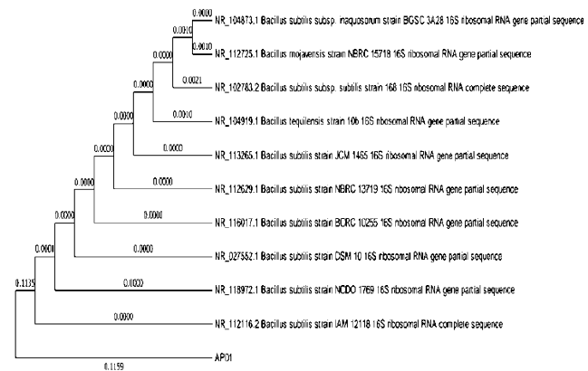 biomedres-openaccess-journal-bjstr