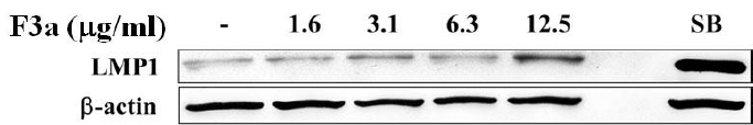 biomedres-openaccess-journal-bjstr