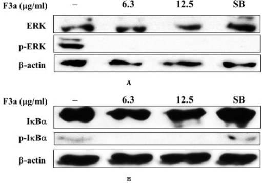 biomedres-openaccess-journal-bjstr