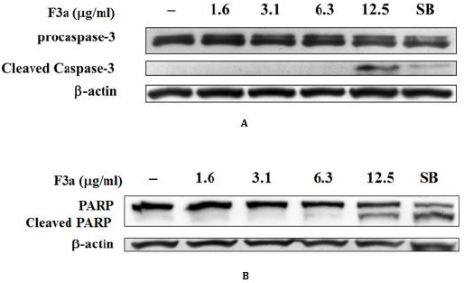 biomedres-openaccess-journal-bjstr