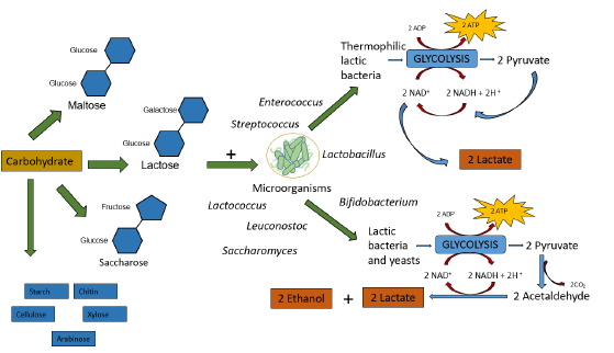 biomedres-openaccess-journal-bjstr