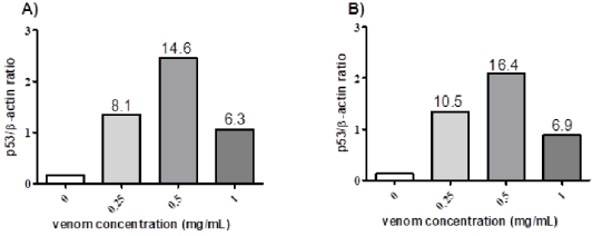 biomedres-openaccess-journal-bjstr