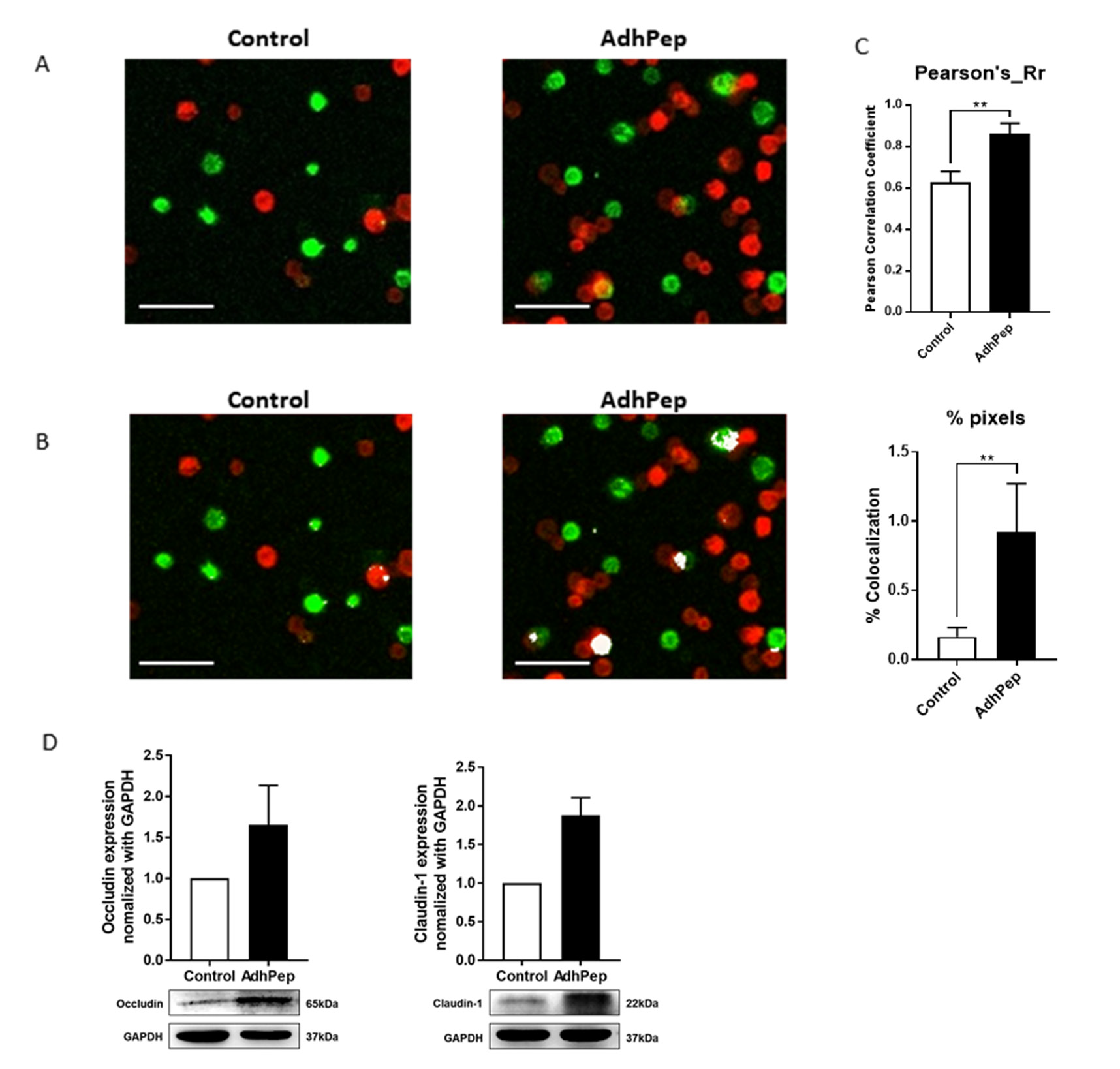 biomedres-openaccess-journal-bjstr