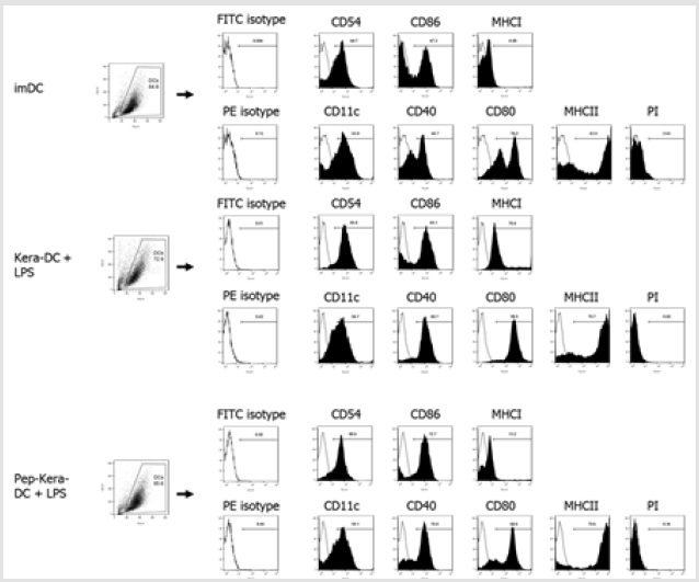 biomedres-openaccess-journal-bjstr