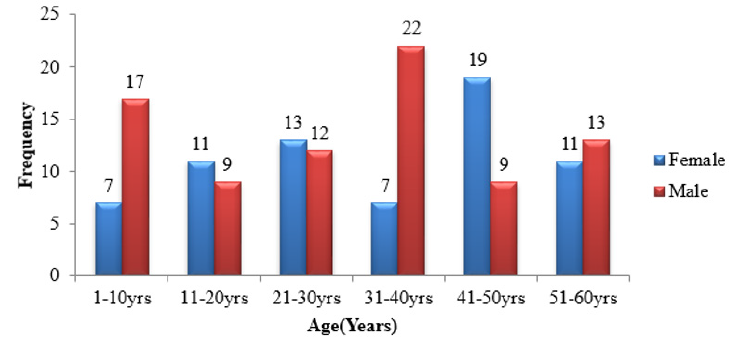 biomedres-openaccess-journal-bjstr