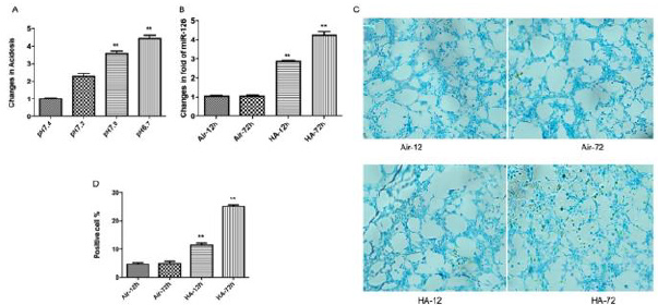 biomedres-openaccess-journal-bjstr