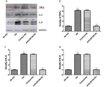 biomedres-openaccess-journal-bjstr