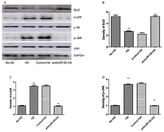 biomedres-openaccess-journal-bjstr