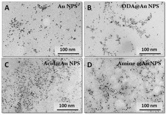 biomedres-openaccess-journal-bjstr