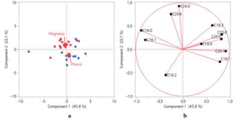 biomedres-openaccess-journal-bjstr