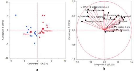 biomedres-openaccess-journal-bjstr