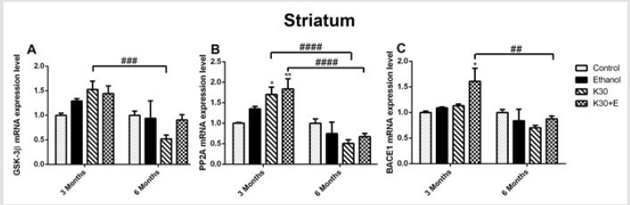 biomedres-openaccess-journal-bjstr