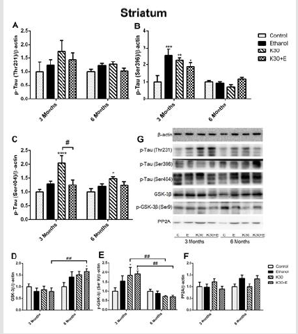 biomedres-openaccess-journal-bjstr