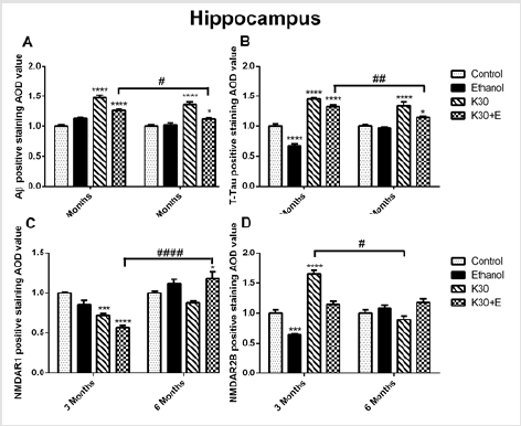 biomedres-openaccess-journal-bjstr