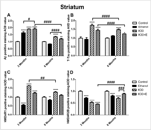 biomedres-openaccess-journal-bjstr