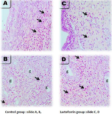 biomedres-openaccess-journal-bjstr