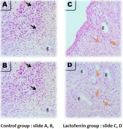 biomedres-openaccess-journal-bjstr