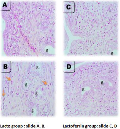 biomedres-openaccess-journal-bjstr