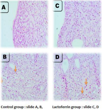 biomedres-openaccess-journal-bjstr