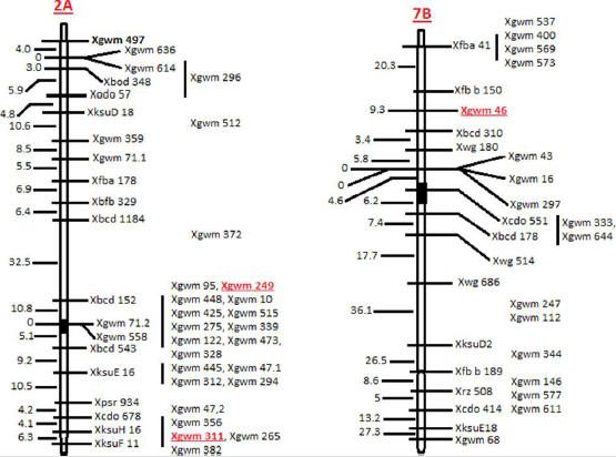 biomedres-openaccess-journal-bjstr