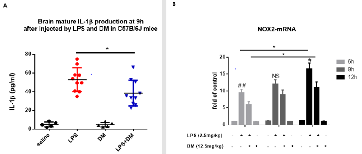 biomedres-openaccess-journal-bjstr