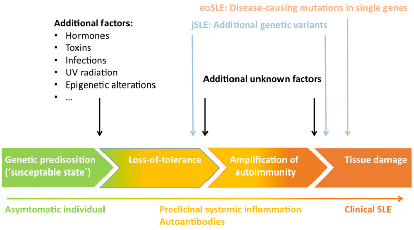 biomedres-openaccess-journal-bjstr