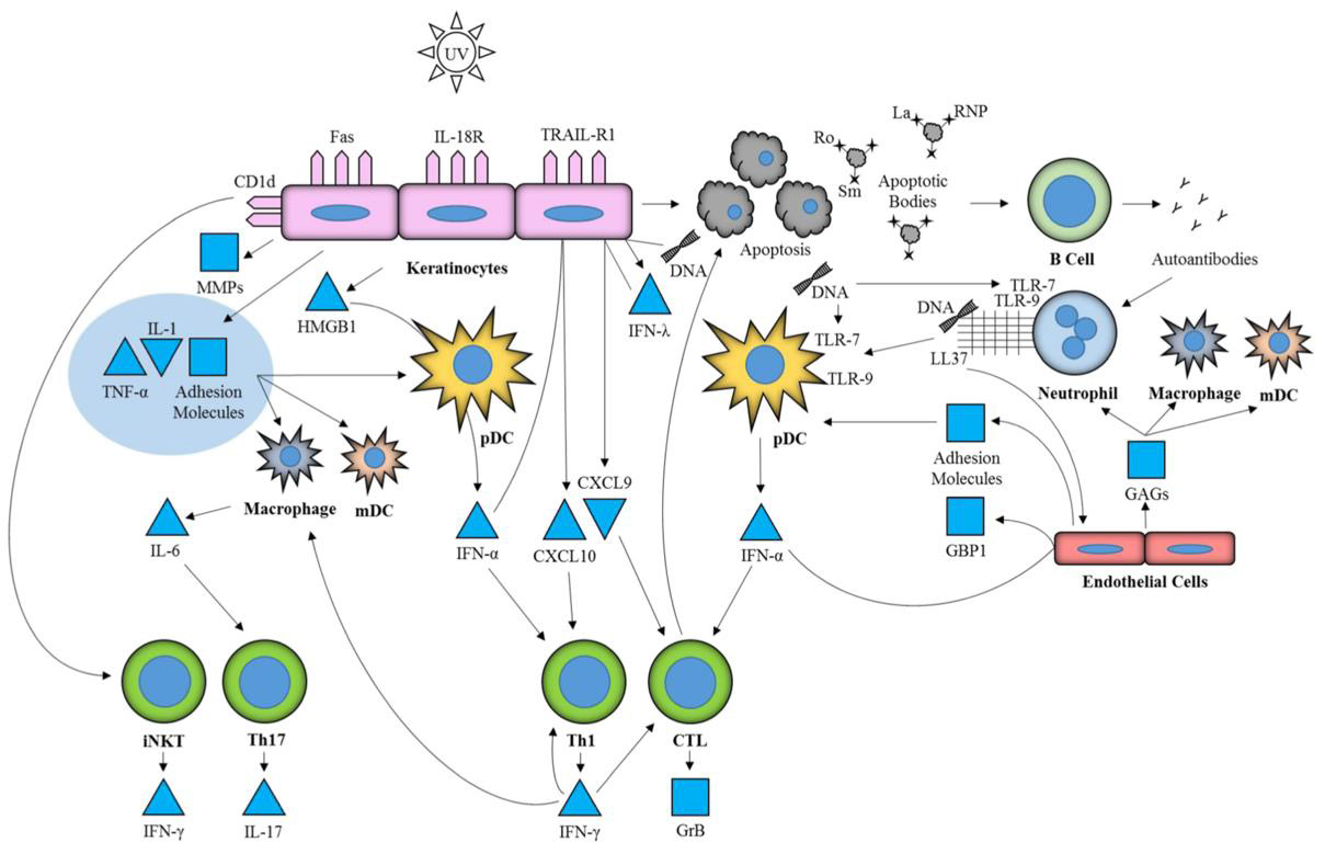 biomedres-openaccess-journal-bjstr
