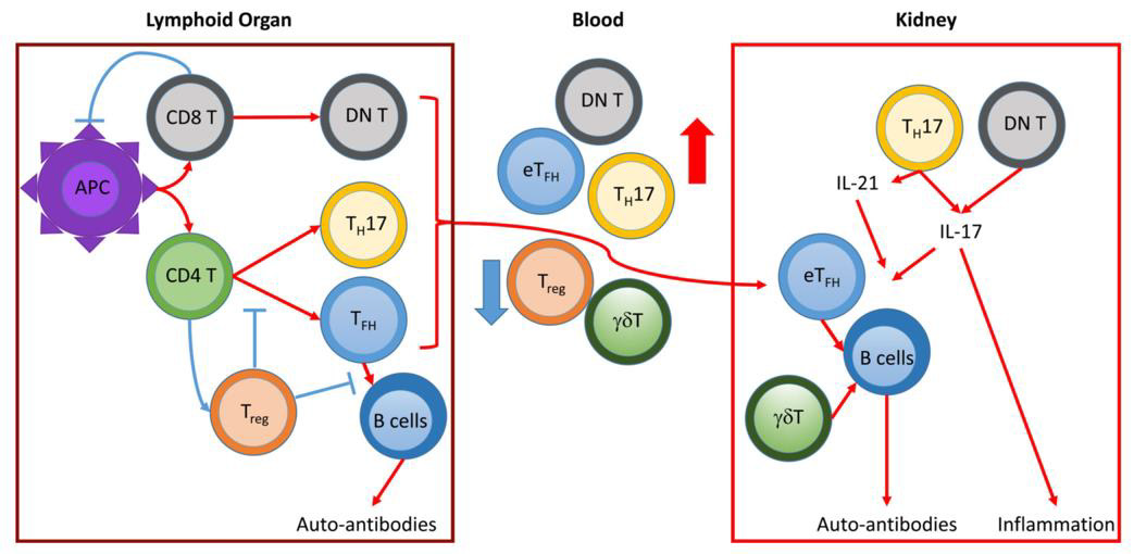 biomedres-openaccess-journal-bjstr