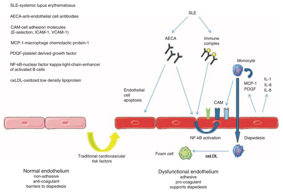 biomedres-openaccess-journal-bjstr