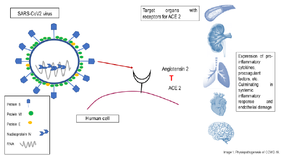 biomedres-openaccess-journal-bjstr