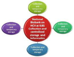 biomedres-openaccess-journal-bjstr