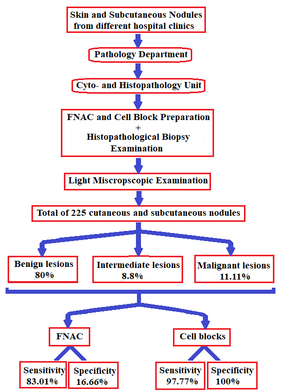 biomedres-openaccess-journal-bjstr