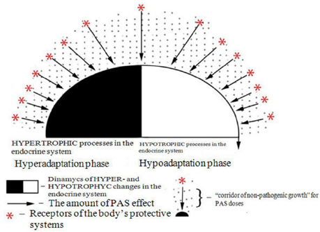 biomedres-openaccess-journal-bjstr