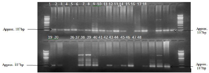 biomedres-openaccess-journal-bjstr