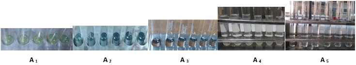 biomedres-openaccess-journal-bjstr