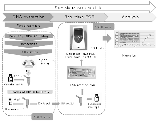 biomedres-openaccess-journal-bjstr