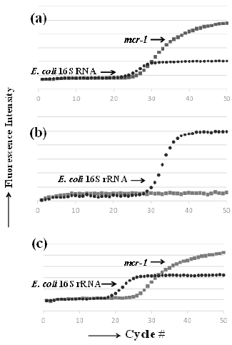 biomedres-openaccess-journal-bjstr