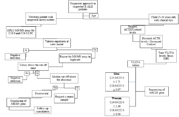 biomedres-openaccess-journal-bjstr
